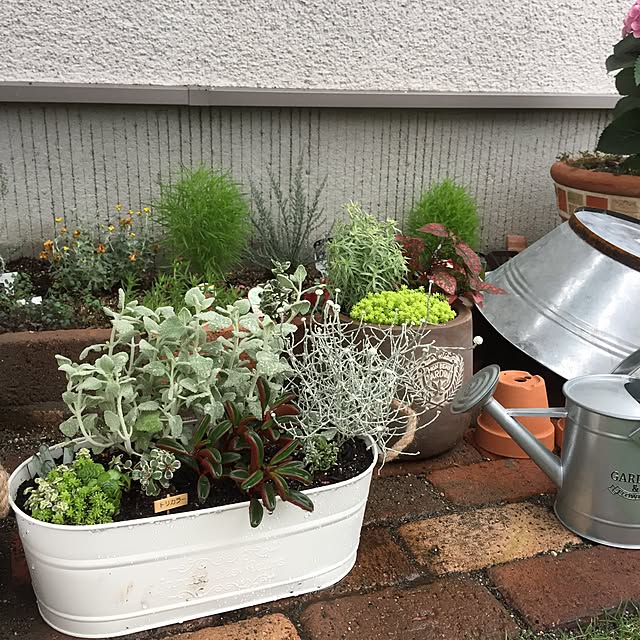 壁/天井/アンティーク/DIY/多肉植物/ナチュラルのインテリア実例 - 2017-06-25 21:12:09