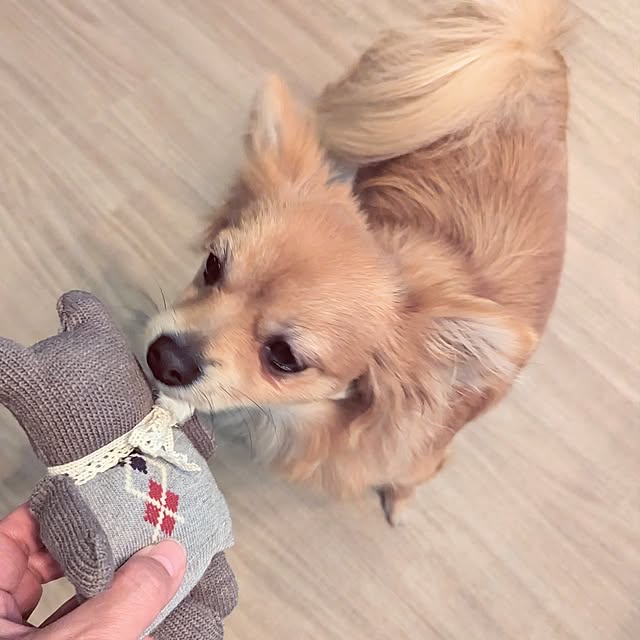 noahさんの実例写真