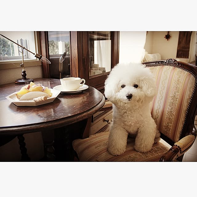 happy_bridgeさんの実例写真