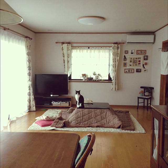 Kinanさんの実例写真