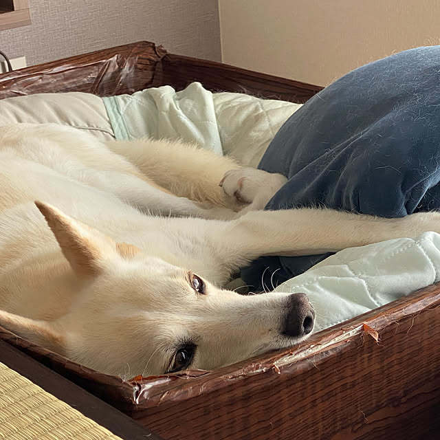 tanboさんの実例写真