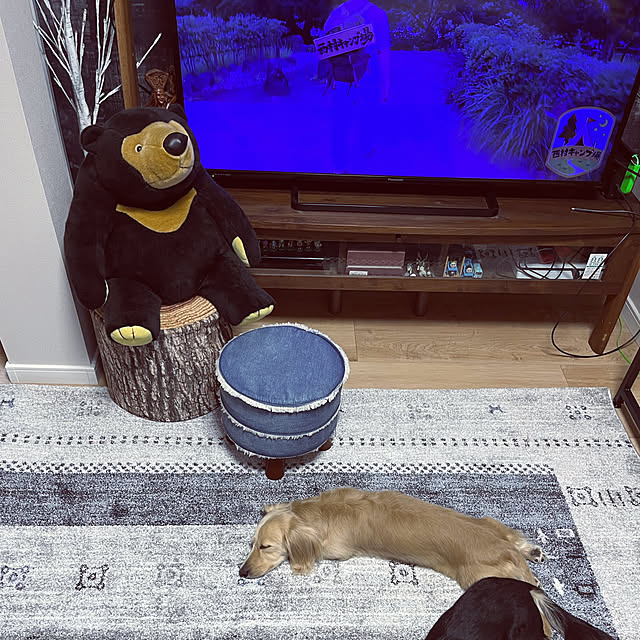 uninekoさんの実例写真