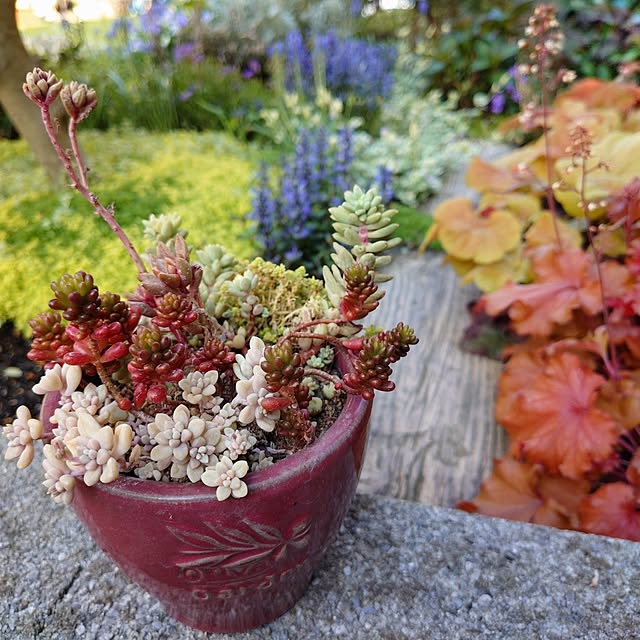 coconathuさんの部屋