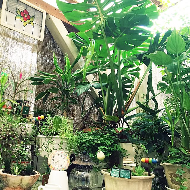ichigonohanaさんの実例写真