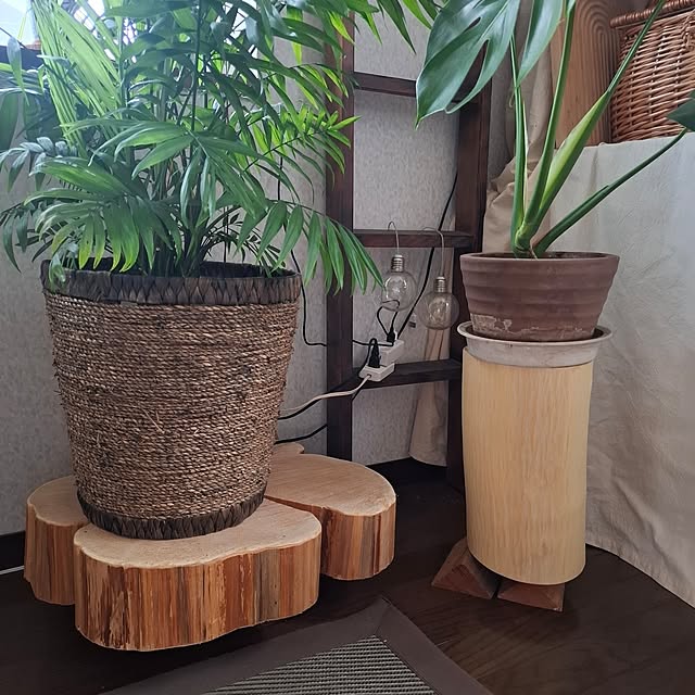 midoriさんの部屋