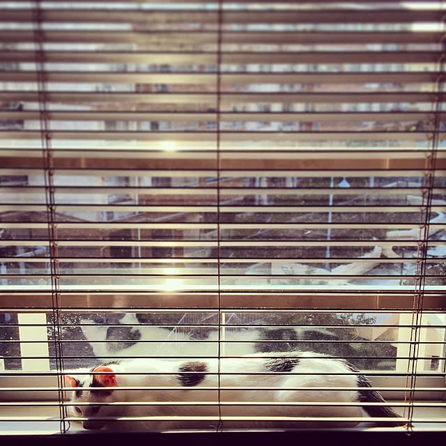 atelier-mossoさんの実例写真