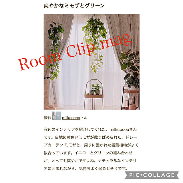 milkcocoaさんの実例写真