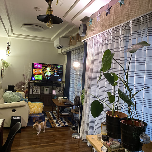 porinさんの実例写真