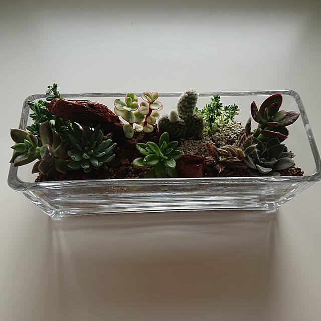 jkabmymycatさんの実例写真