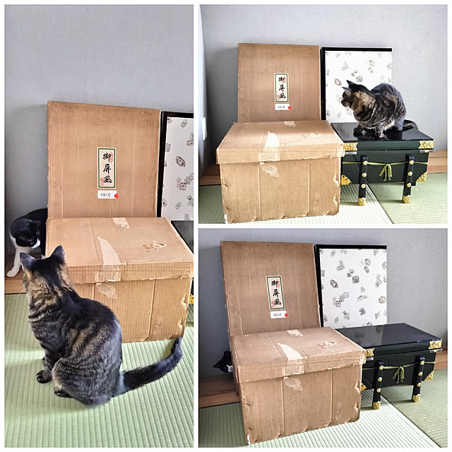 hihaさんの実例写真