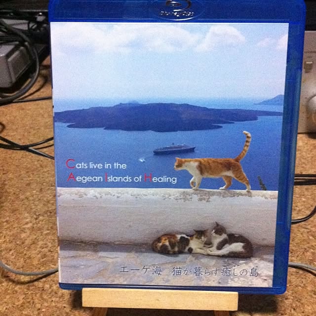 Shigeさんの実例写真