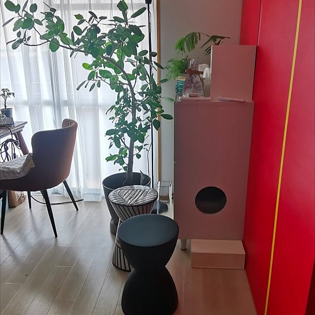 atarasiioutiさんの実例写真