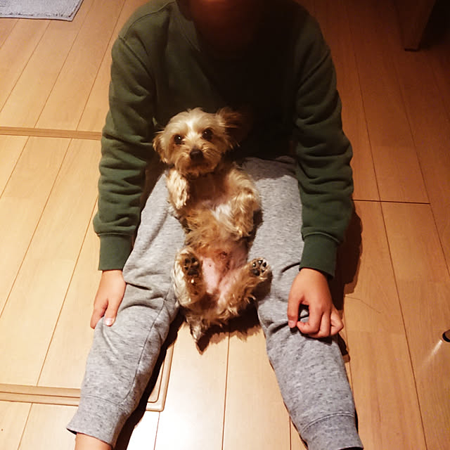 321さんの実例写真