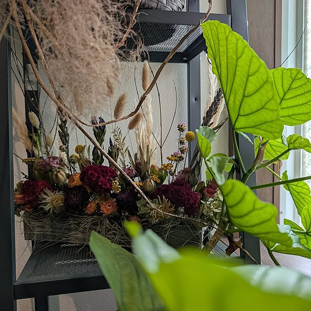 milk_hana_さんの部屋