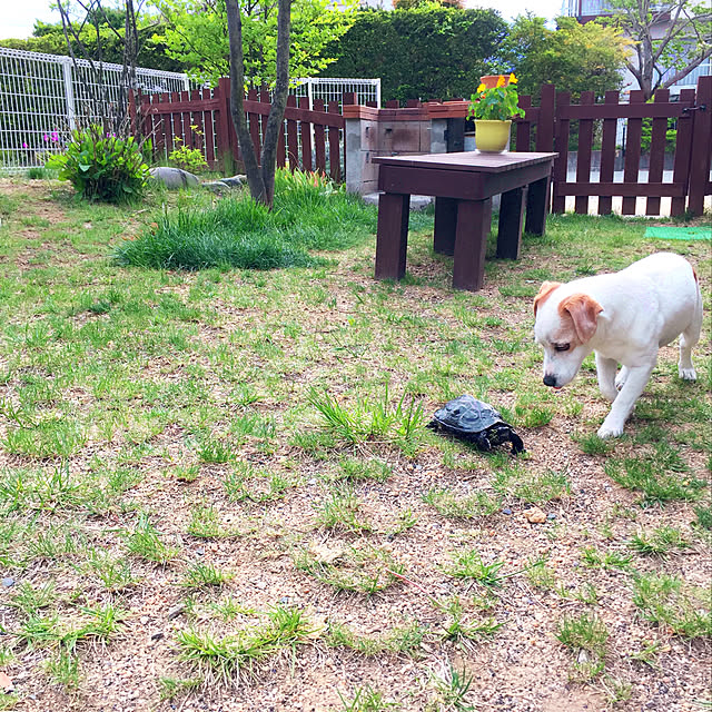 nanaさんの実例写真