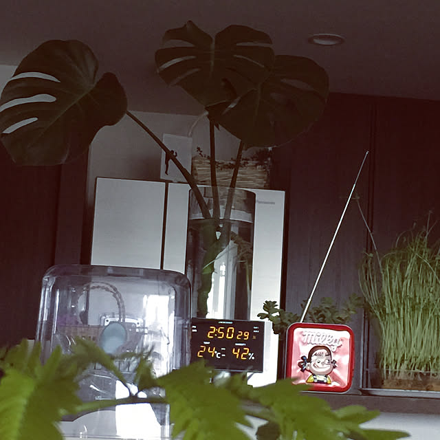 HKSさんの実例写真
