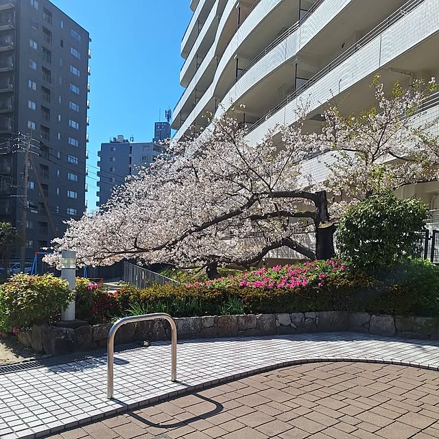 実例写真