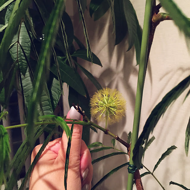 HKSさんの実例写真