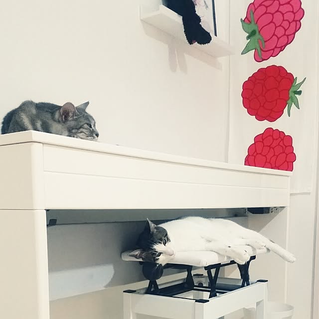 runayucoさんの実例写真