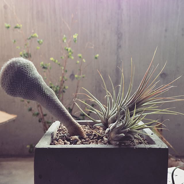 aknb08さんの実例写真