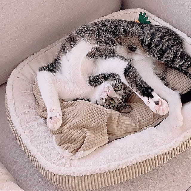 kurinさんの実例写真