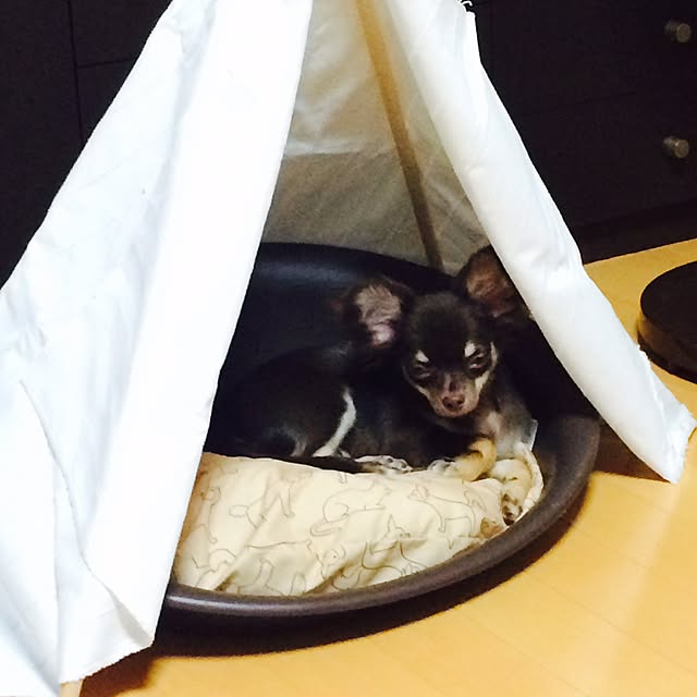 takaさんの実例写真
