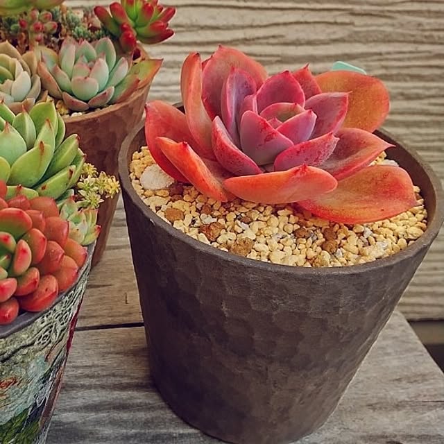 meiさんの部屋