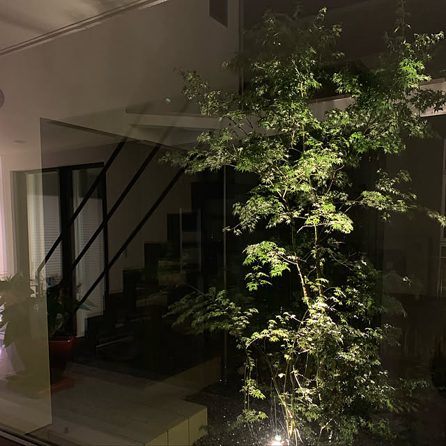 jp_fumiさんの実例写真