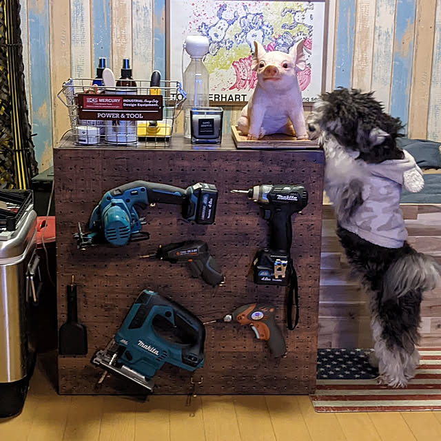 GINさんの実例写真