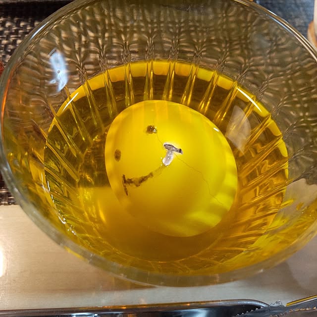 faunさんの部屋
