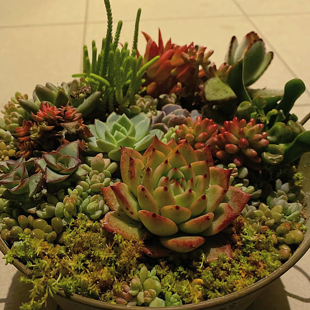 hachiさんの実例写真