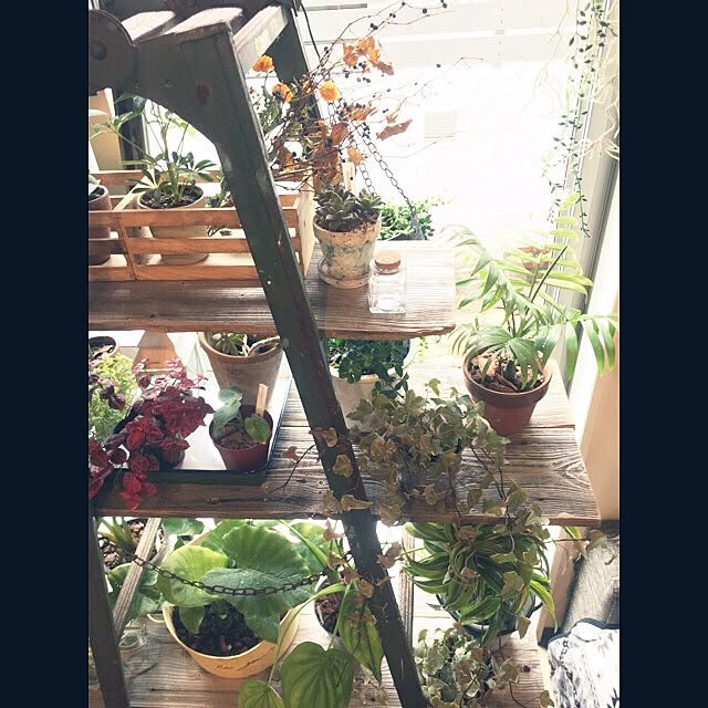 cocco0505さんの実例写真