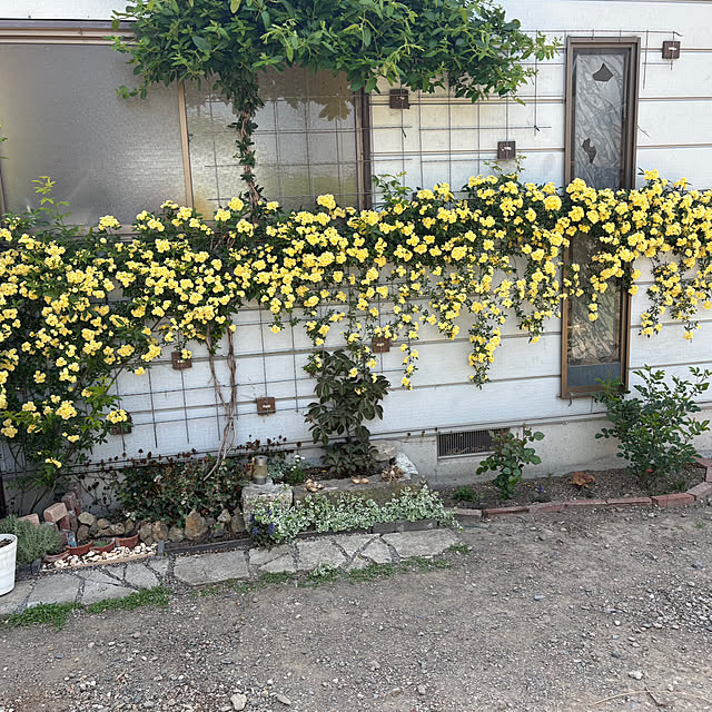 kazutomoさんの部屋