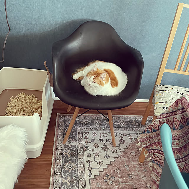miumiu.303さんの実例写真