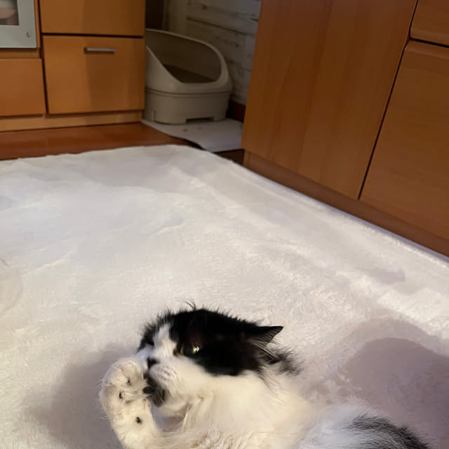 reonさんの実例写真