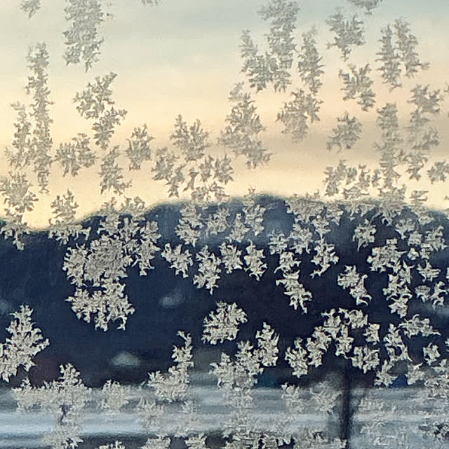 chiiyanさんの部屋