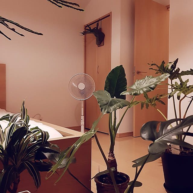 greenmanさんの実例写真