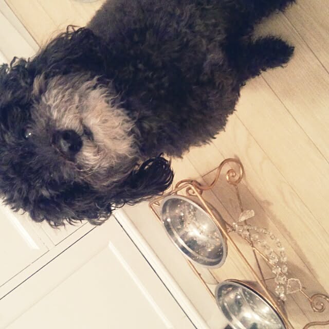 junhimeさんの実例写真