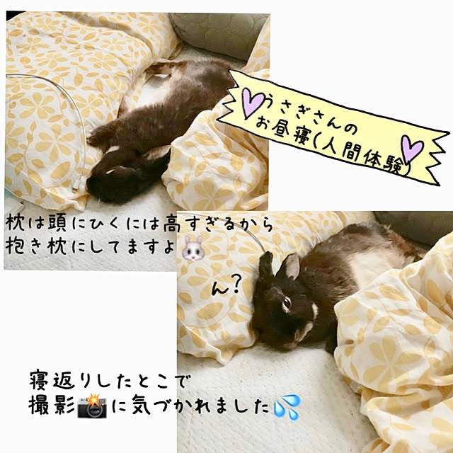 mo-nosukeさんの実例写真