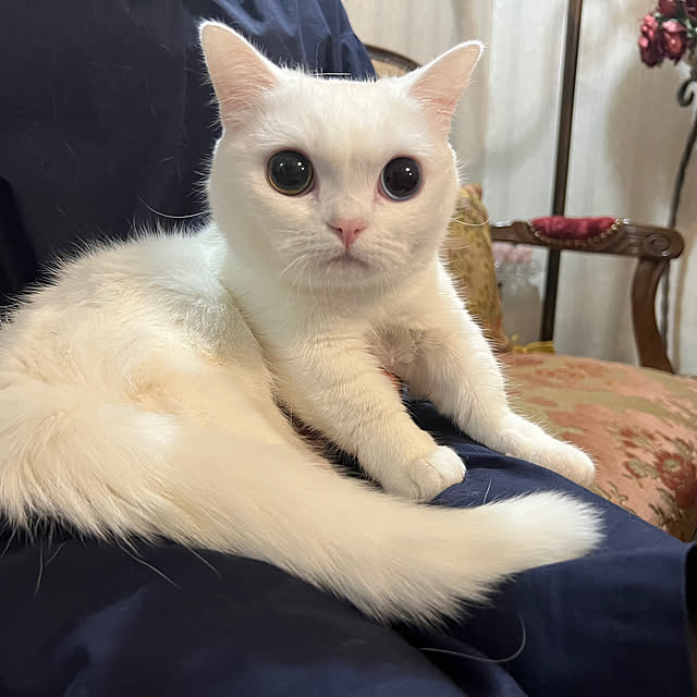 AYUKOさんの部屋