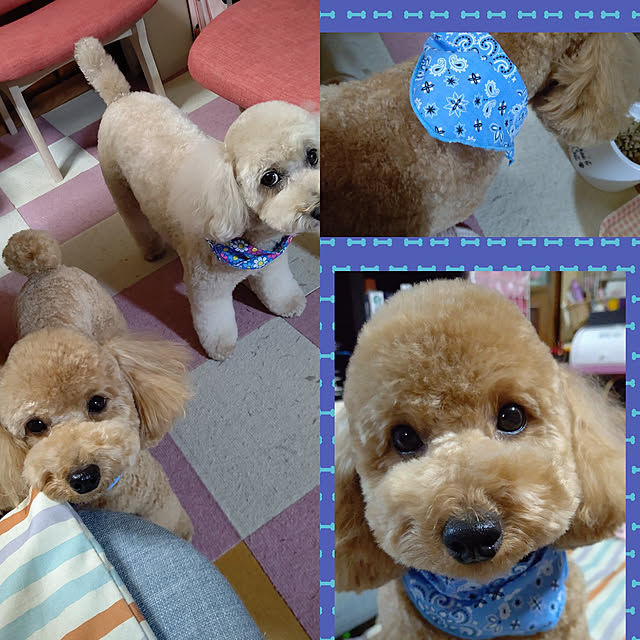 yumirinさんの実例写真