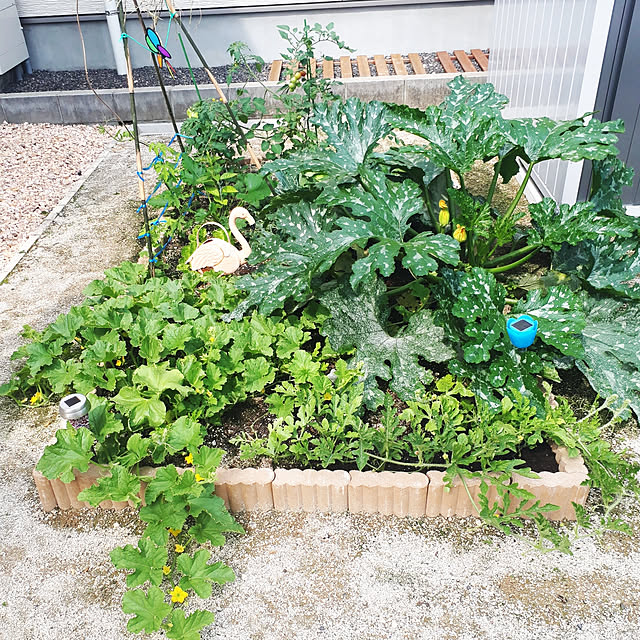m.coccoさんの実例写真