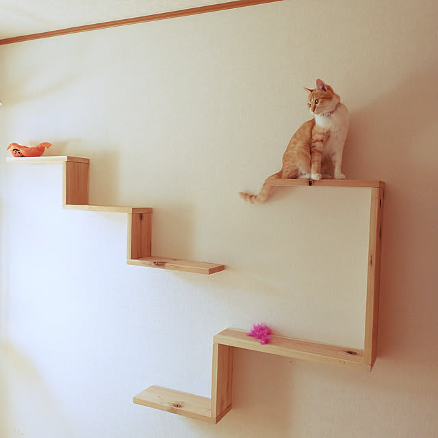 bentaro0401さんの実例写真