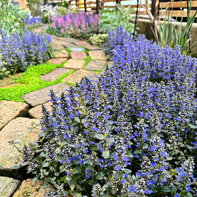 kyoko1124koさんの部屋