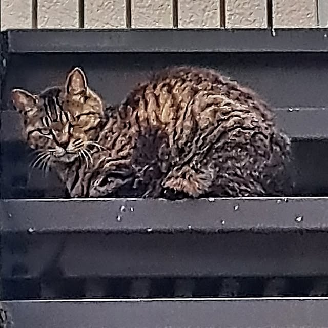 noaさんの部屋