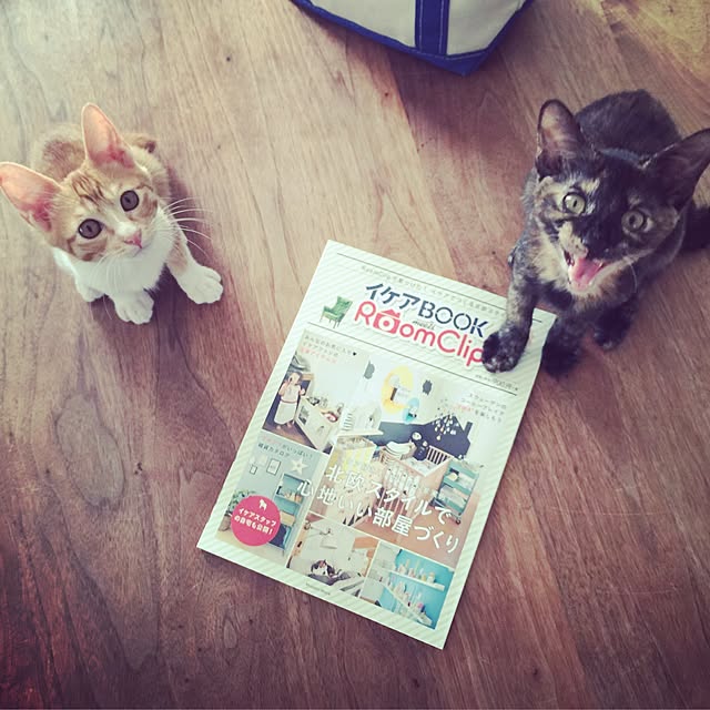 y.さんの実例写真