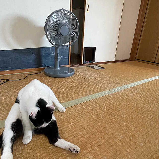 nobikoさんの実例写真
