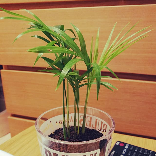 camomile326さんの実例写真