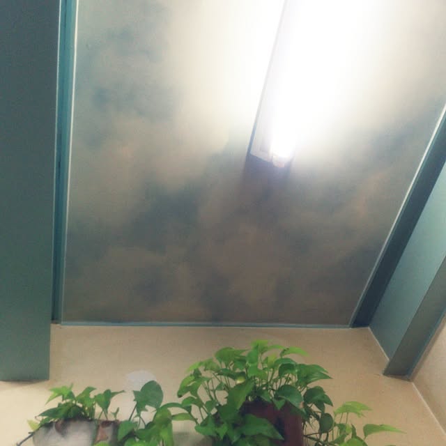 mariaさんの実例写真