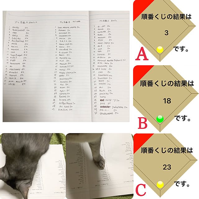 kotoriさんの実例写真